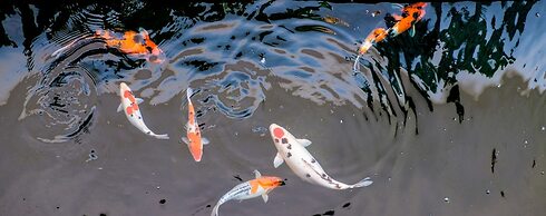 Kamar Kamar Rumah Tamu - Boutique Hotel