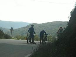 Casa da Fonte de Travanca