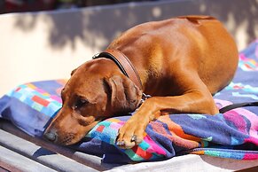 Residenza Capriccioli