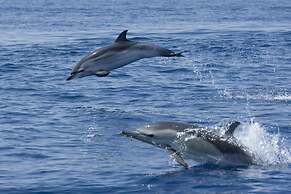 Residenza Capriccioli