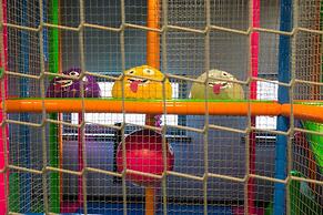 Hotel Czarny Potok Resort SPA & Conference