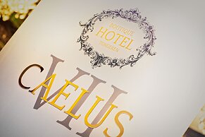 Boutique Hotel Caelus VII