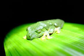 La Palapa Eco Lodge Resort