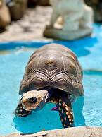 Azure Hotel and Art Studio