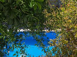 Paradise Departamentos