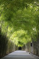 The Jineng Villas by Ekosistem