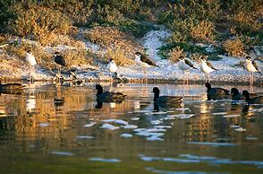 Azul Talavera Country Club