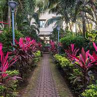 Godwin Candolim, Goa