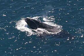 Kimball Terrace Inn Northeast Harbor