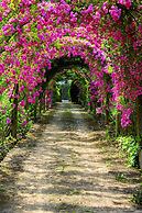 Quinta de São Lourenço