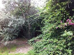 Agriturismo Il Giglio