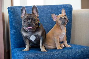 Hilton Garden Inn Salt Lake City Airport