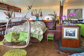 Dragonfly Ranch