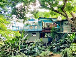 Dragonfly Ranch