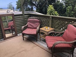 Dragonfly Ranch