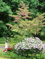 Daybreak Haven Bed & Breakfast