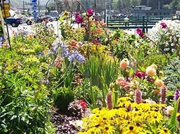 Daybreak Haven Bed & Breakfast