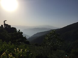 The Ayali Fernhill Resort, Chail