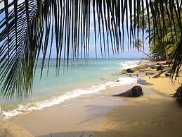 Physis Caribbean Bed & Breakfast