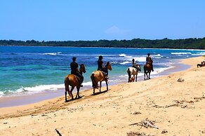 Physis Caribbean Bed & Breakfast