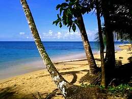 Physis Caribbean Bed & Breakfast