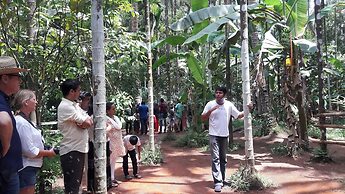 Veronica Guest House