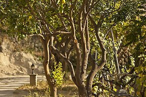 Tenuta del Poggio Antico