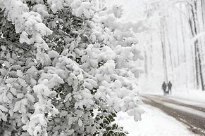 Merici Hotel Sittard