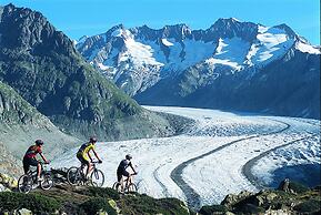 Serviced Apartments Wallis