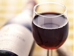 Ibis Canoas Shopping