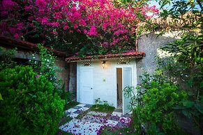 Green Organic Villas