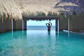 Green Organic Villas