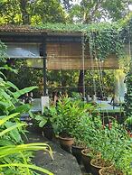 Ambong Rainforest Retreat