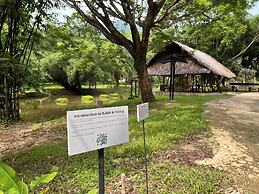 Ambong Rainforest Retreat