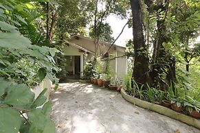 Ambong Rainforest Retreat