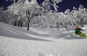 Hotel Green Plaza Hakuba