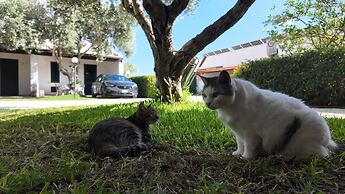 Camping Lilybeo Village