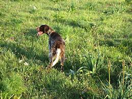 Albergo Residence Villa a Mare