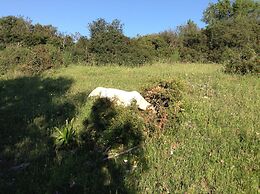 Albergo Residence Villa a Mare