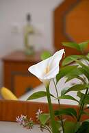 Barbouni Hotel & Studios