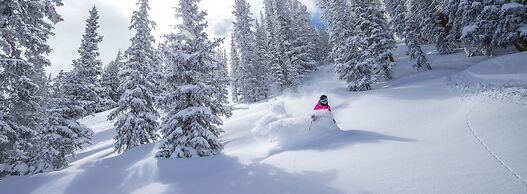 Wildwood Snowmass