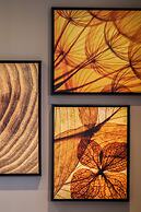 Art Hotel Transamerica Collection