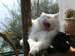 La Dolce Vita Residence