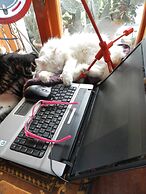 La Dolce Vita Residence