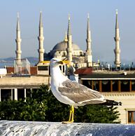 Nowy Efendi Hotel - Special Class