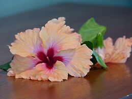 Demeure de Cap Maçon