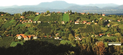 Hotel Stainzerhof