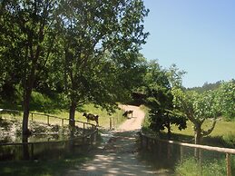Aparthotel Quinta do Crestelo