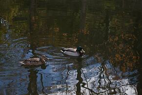 Aparthotel Quinta do Crestelo