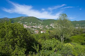 Haidi House Bed and Breakfast